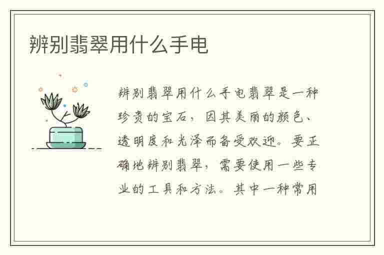 辨别翡翠用什么手电(辨别翡翠用什么手电好)